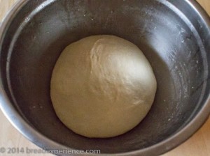 potato-rosemary-semolina-rolls-1-3