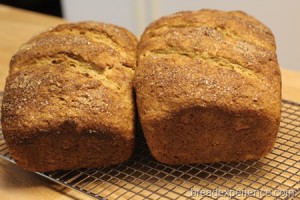 pumpkin-brioche_1138