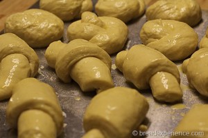 pumpkin-knot-yeast-rolls_1614