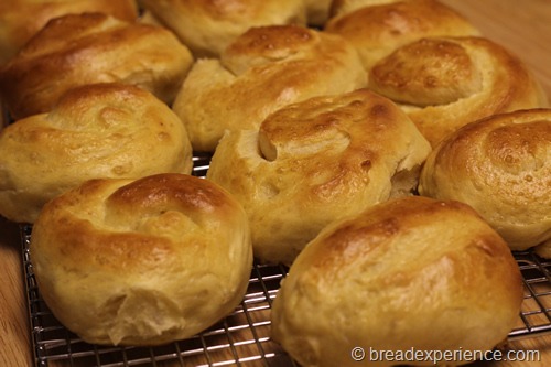 pumpkin-knot-yeast-rolls_1617