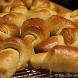 Pumpkin Yeast Rolls