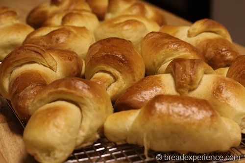 Pumpkin Yeast Rolls