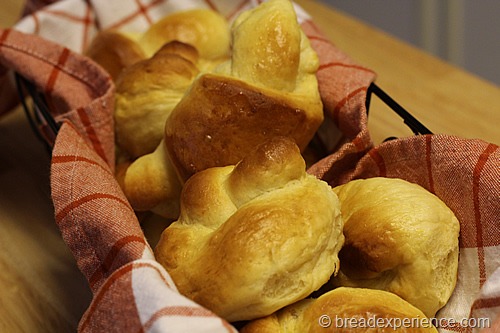 Pumpkin Yeast Rolls