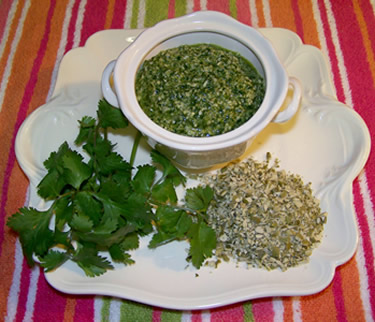 pumpkin-seed-pesto