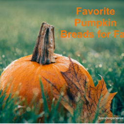 Favorite Pumpkin Breads for Fall