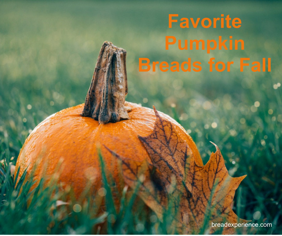 Favorite Pumpkin Breads for Fall