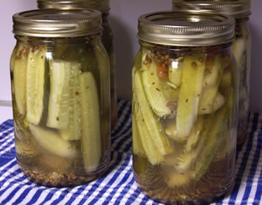 Quick Dill Pickles