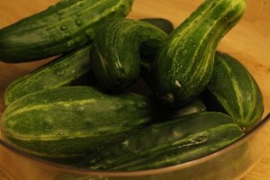 refrigerator-pickles_0001