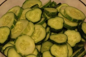 refrigerator-pickles_0006