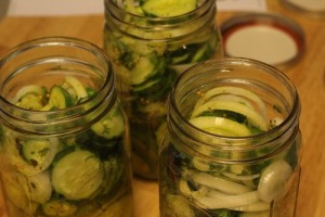 refrigerator-pickles_0010