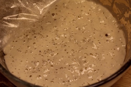 restarting-dried-sourdough00003