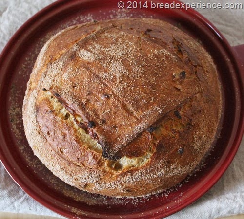 roasted-onion-spelt-einkorn-levain