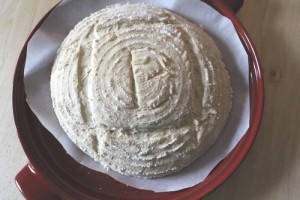 roasted-onion-spelt-einkorn-levain_167