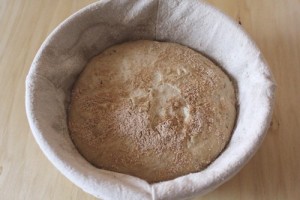 roasted-onion-spelt-einkorn-levain_908