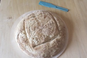 roasted-onion-spelt-einkorn-levain_912