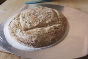 roasted-onion-spelt-einkorn-levain_916