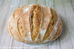 Round Olive Oil Loaf with Rosemary