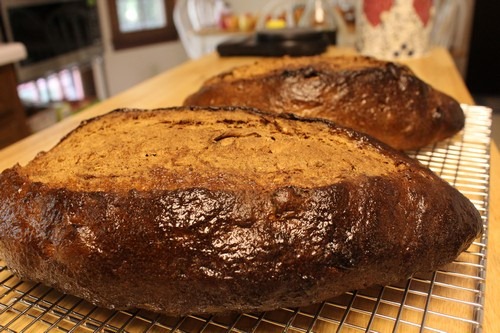 rye-fennel-bread029