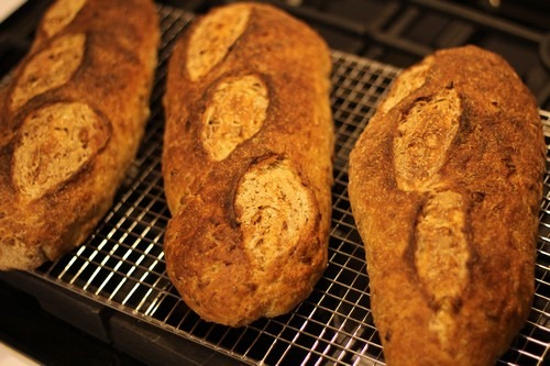 rye-sourdough-pumpkin-sunflower-seeds_16