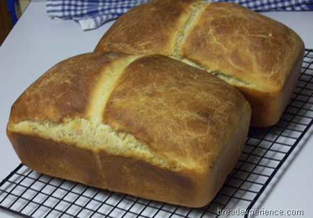 Salt Rising Bread cooling on the rack