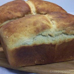 Salt Rising Bread