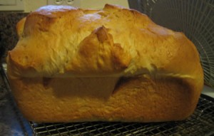sandwich-bread