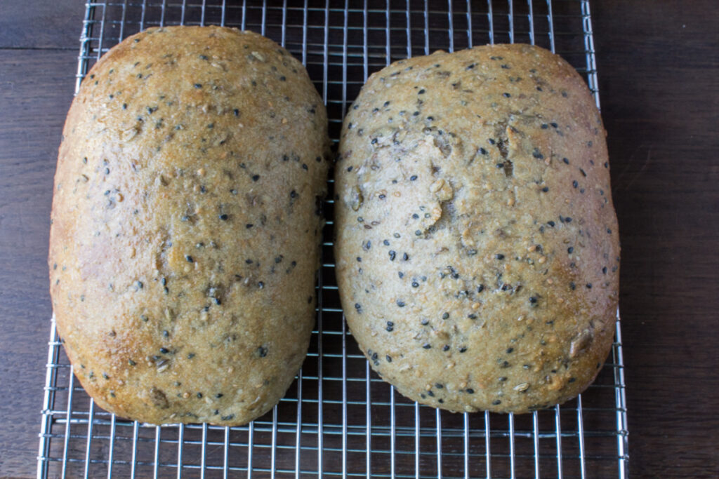 Mixed Grain Seeded Ciabatta with Spelt