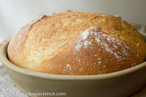 Weeknight Semolina Bread baked in a cloche - Bread Experience