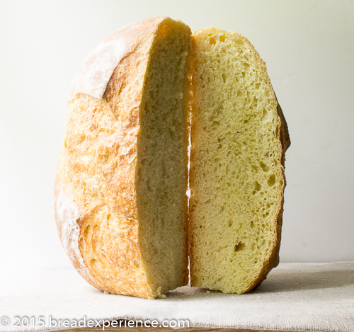 Bread Baking Cloche Designed to Prove and Bake Bread. Artisan Bread at Your  Finger Tips. Terracotta Bread Cloche Perfect for Bread Making. 