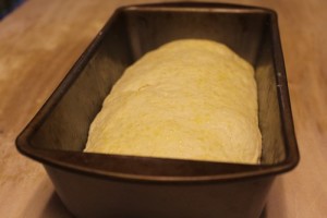 semolina-sandwich-loaf_11