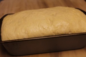 semolina-sandwich-loaf_15