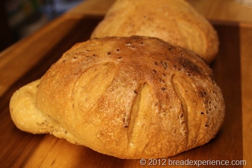 Semolina Spelt Sesame Seed Loaves