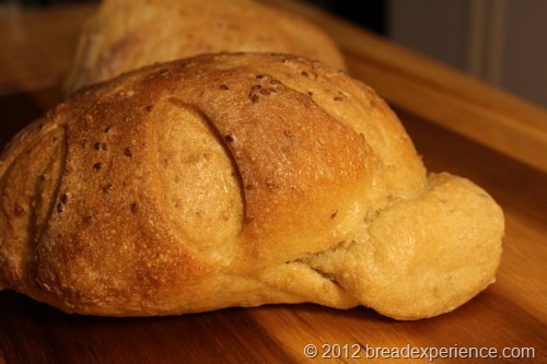 Semolina Spelt Turtle with Sesame Seeds