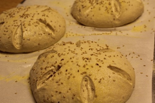 Semolina Spelt Sesame Seed Loaves shaped into boules