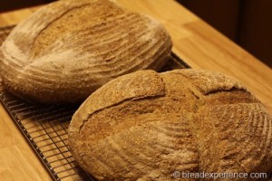 semolina-whole-grain-soaker00008