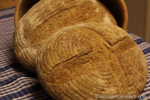 semolina-whole-grain-soaker00033