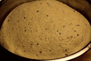 semolina-whole-grain-soaker0016