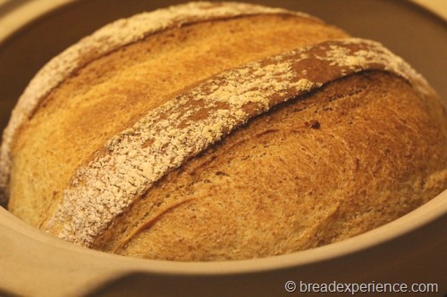 Shepherds bread browning on top