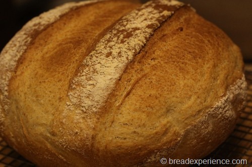 Shepherds Bread made in a bread dome