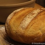 Shepherds Bread with stoneware pot