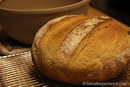 Shepherd's Bread in Pot