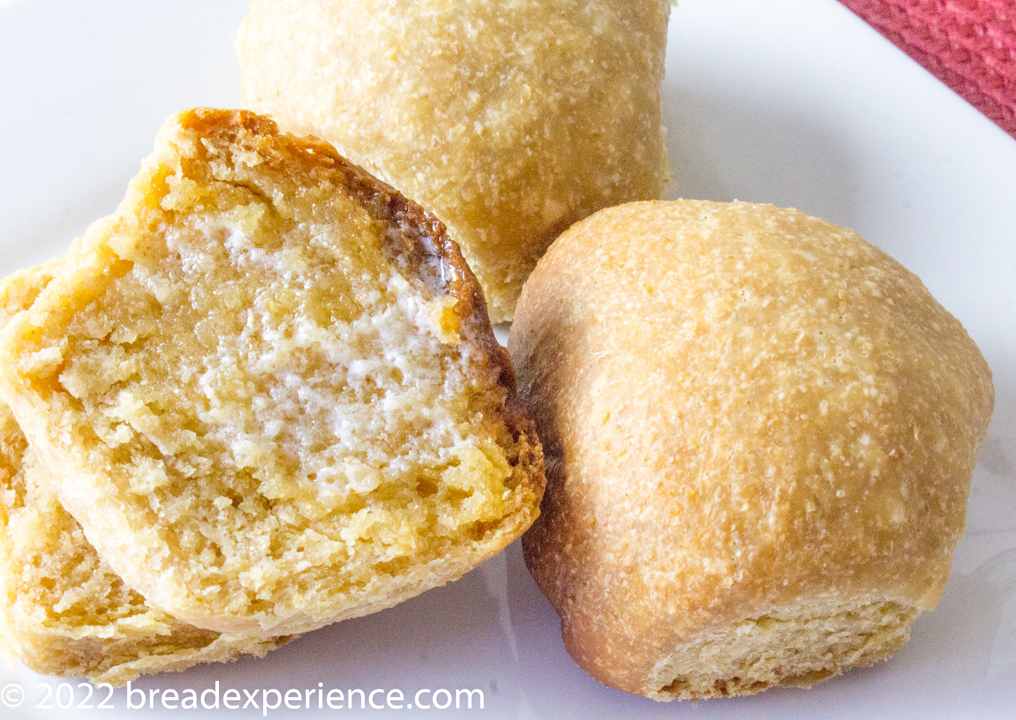 slow cooker rolls made with white whole wheat flour