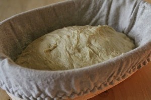 soft-crust-sourdough_112