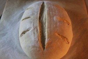 soft-crust-sourdough_123