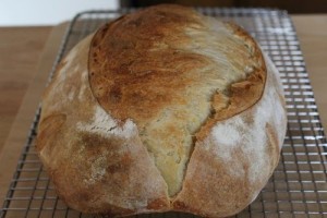 soft-crust-sourdough_202