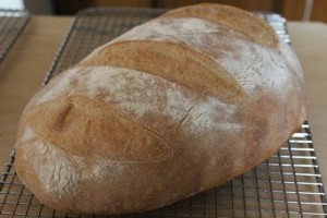 soft-crust-sourdough_207