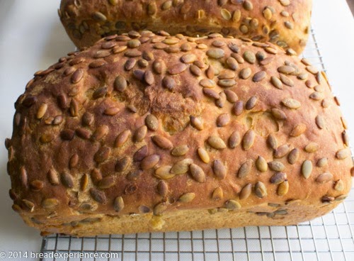 Sorghum KAMUT Pumpkin Seed Loaf