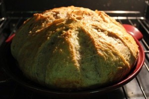 sourdough-asiago-rosemary-pepper-bread_123