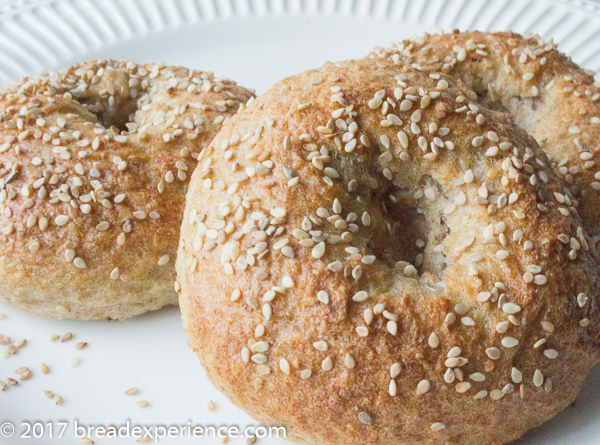 Sourdough Bagels with Sprouted Wheat