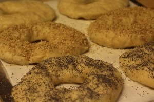 sourdough-bagels0006